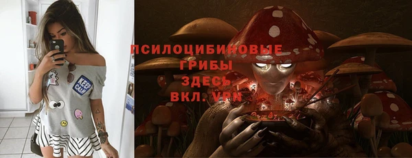 мяу мяу мука Магас