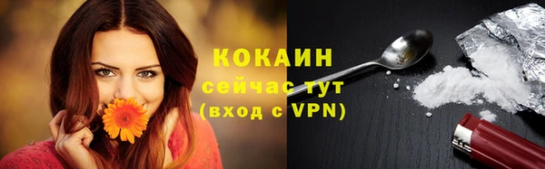 мяу мяу мука Магас