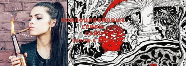 мяу мяу мука Магас