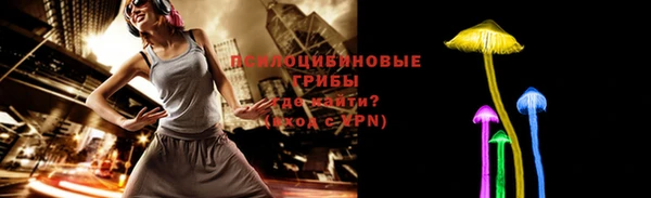 мяу мяу мука Магас