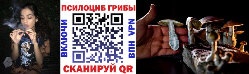 Псилоцибиновые грибы Psilocybine cubensis Брюховецкая