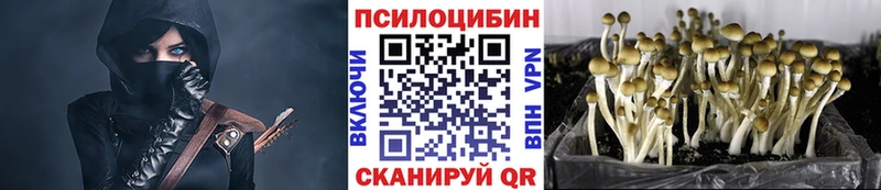 Псилоцибиновые грибы MAGIC MUSHROOMS  Купить  Брюховецкая 